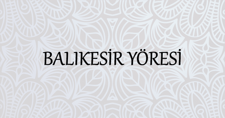 Blog Yazıları